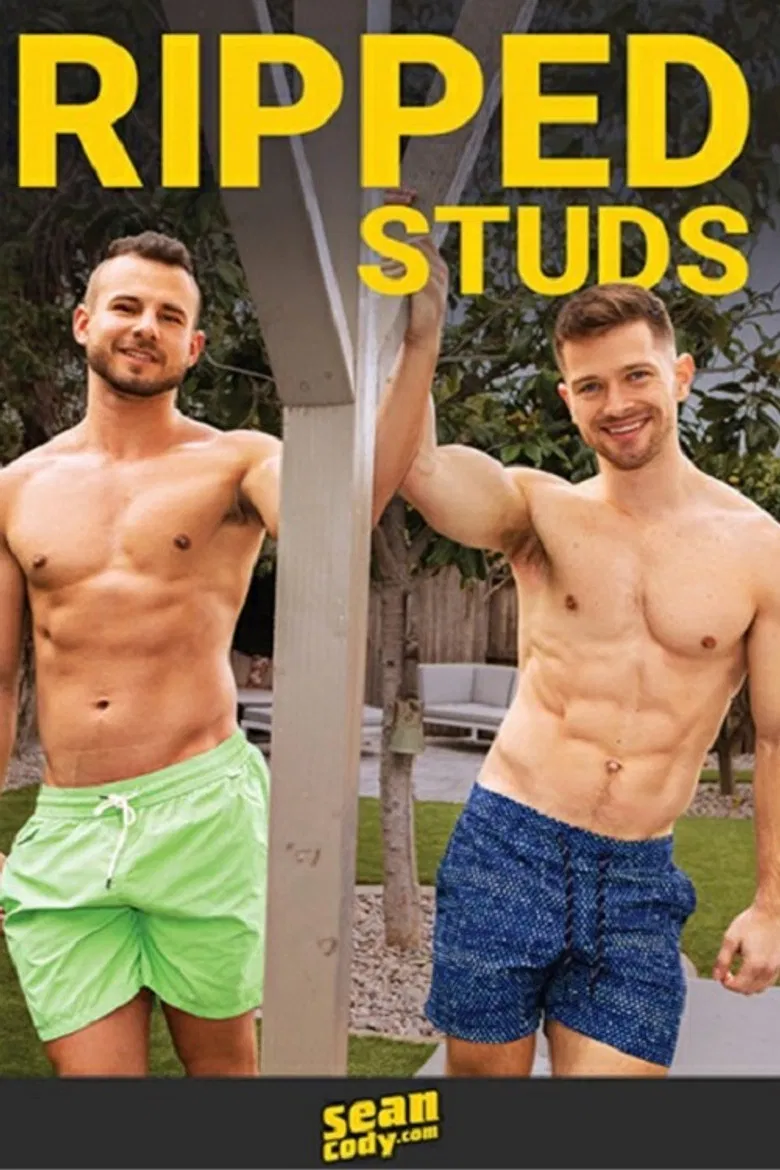 Ripped Studs poster background