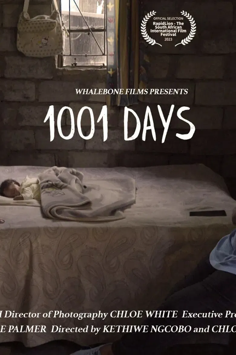 1001 Days poster background