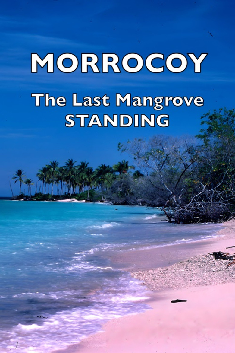 Morrocoy: The Last Mangrove Standing poster background