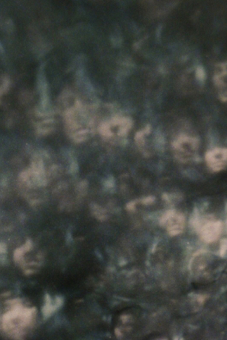 Self Portrait with Bag poster background