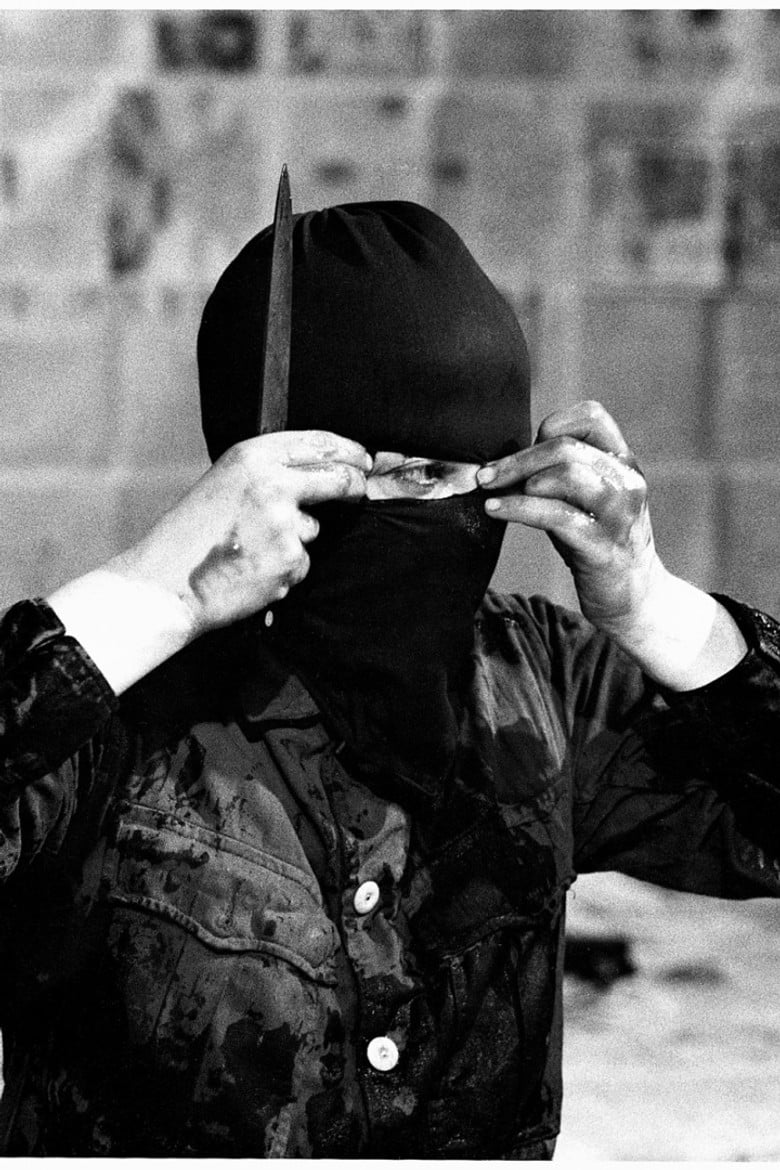 Variations On Discord and Divisions poster background