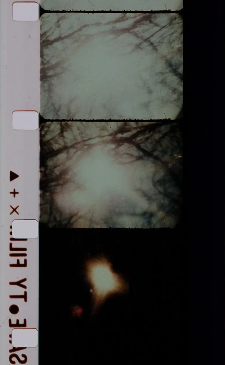 Signaux lumineux pour un ballet nuptial poster background