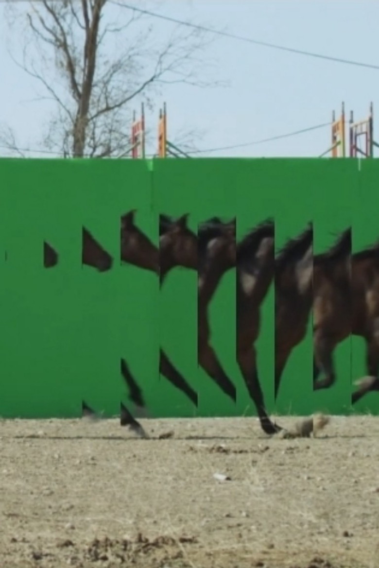 Playgrounds In Motion poster background