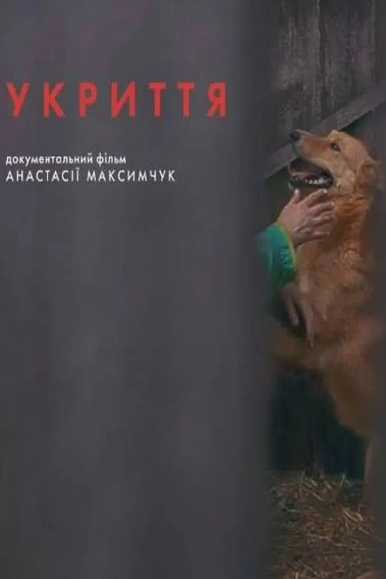 Refuge poster background