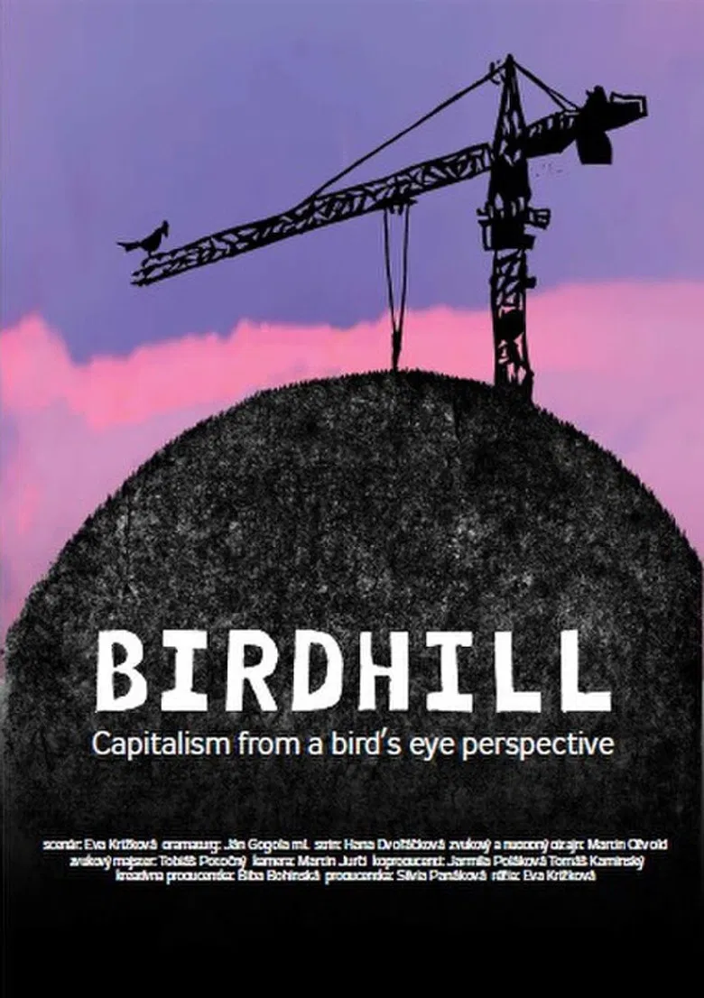 Birdhill poster background