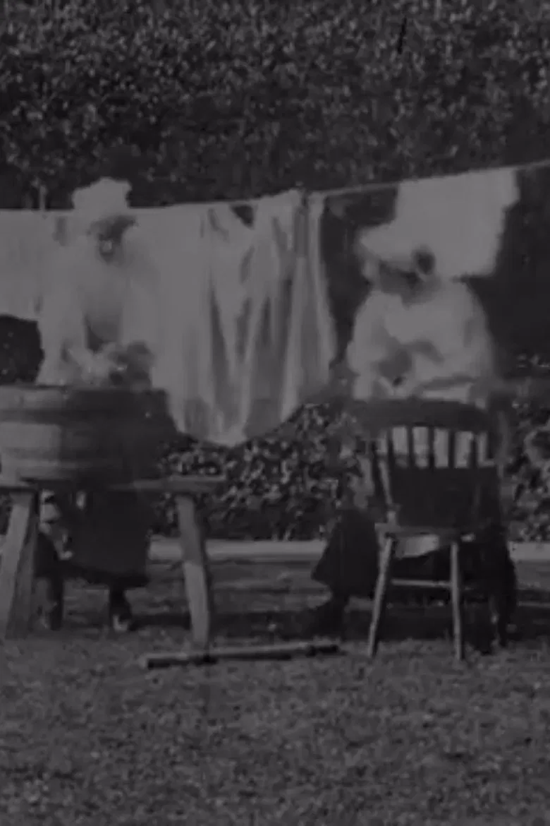 Washing the Sweep poster background