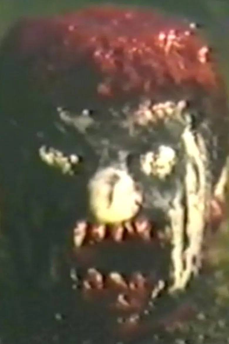 Das Buch Der Blutigen Geschichten poster background