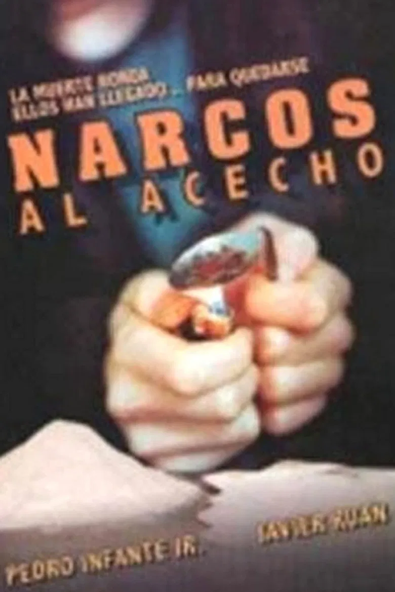 Narcos al acecho poster background