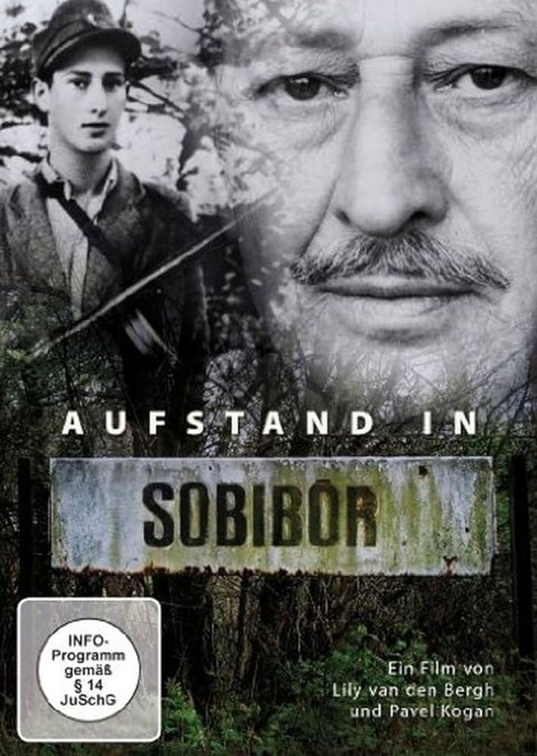 Revolt in Sobibor poster background