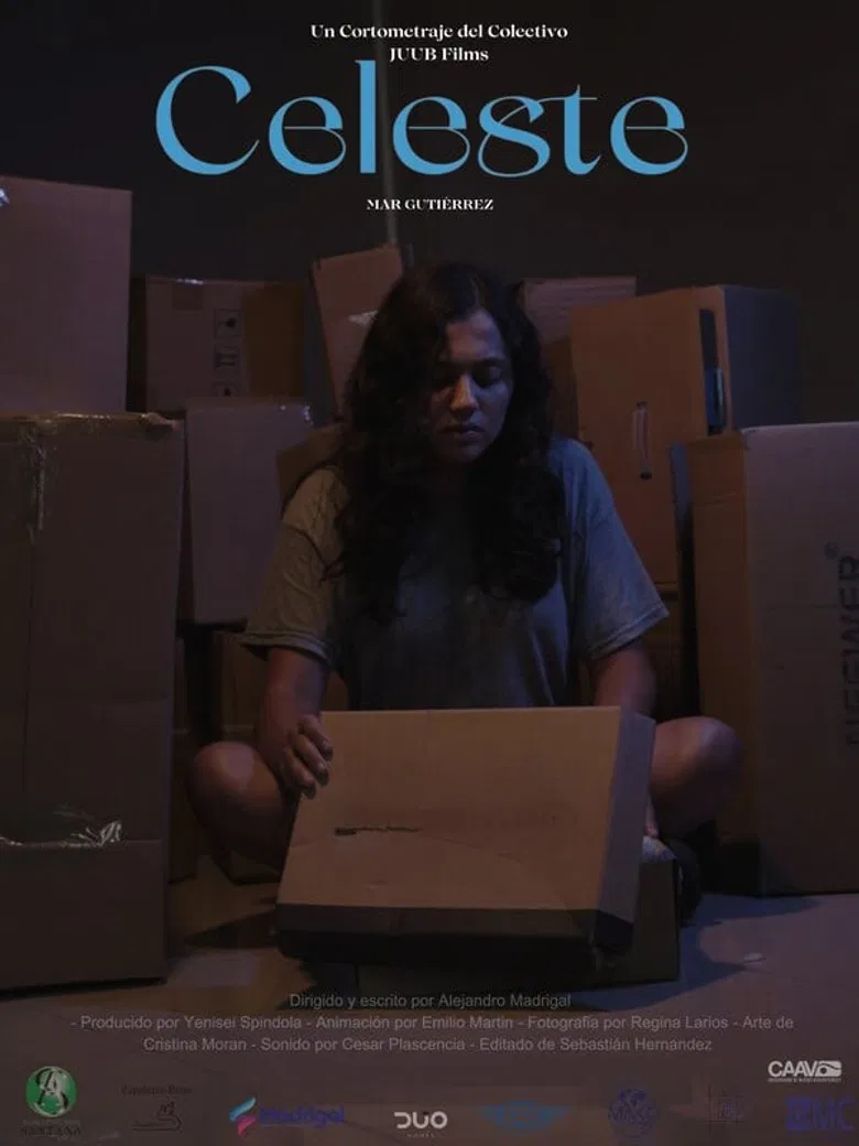 Celeste poster background