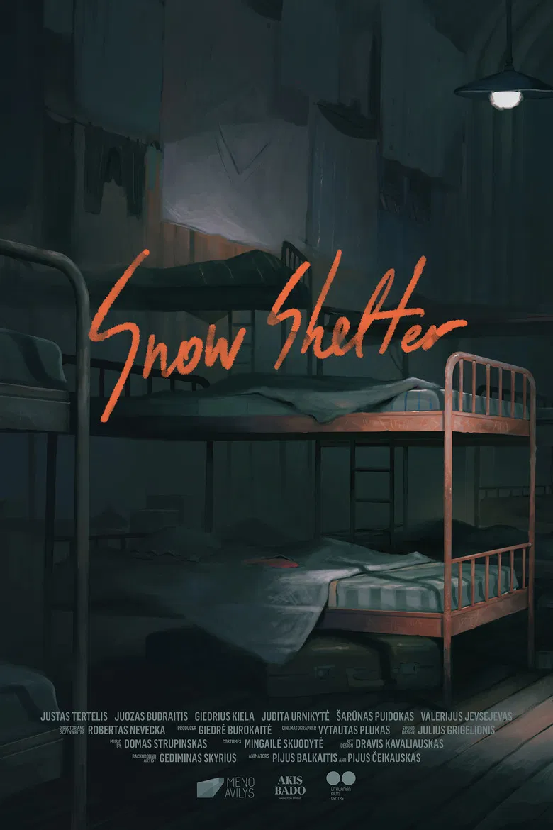 Snow Shelter poster background