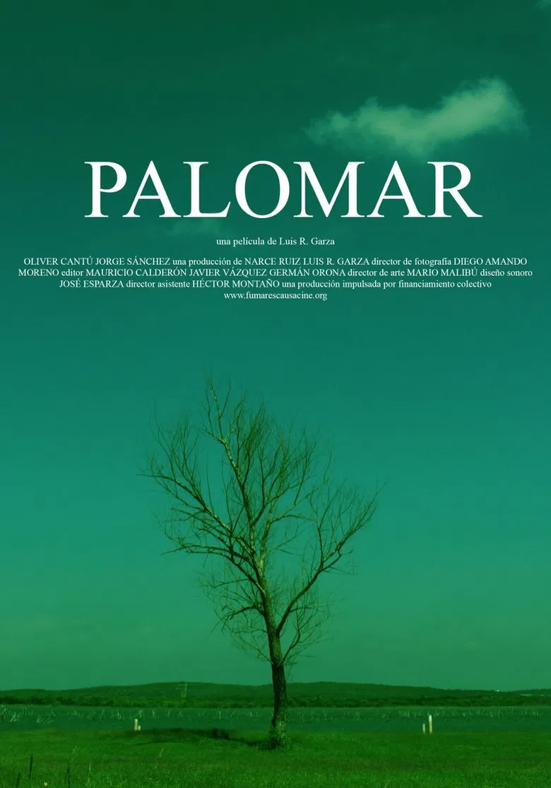 Palomar poster background