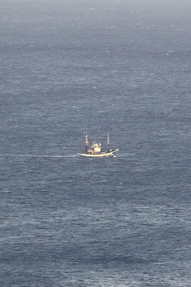 Three Days, My Friend poster background