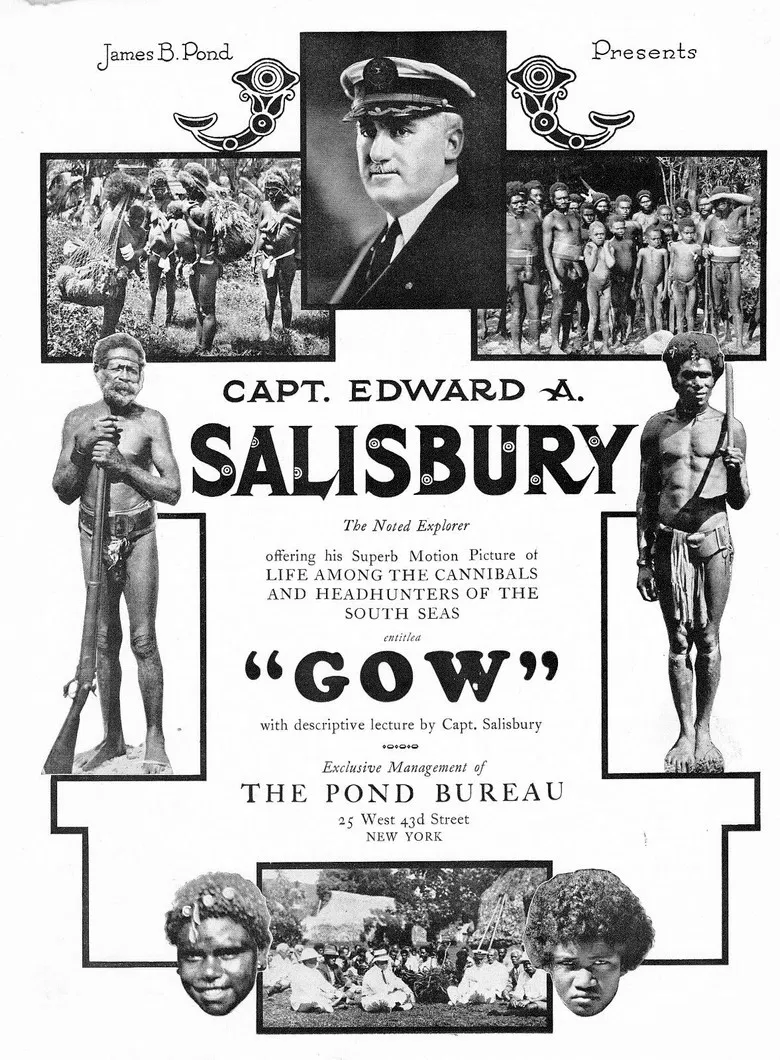 Gow poster background