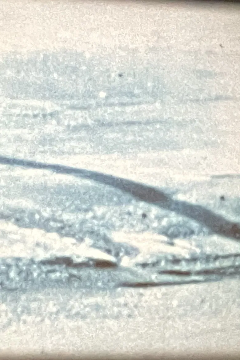 Airs poster background