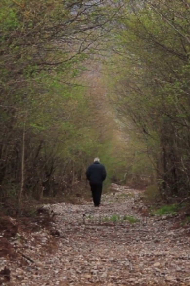 Branches and Roots poster background