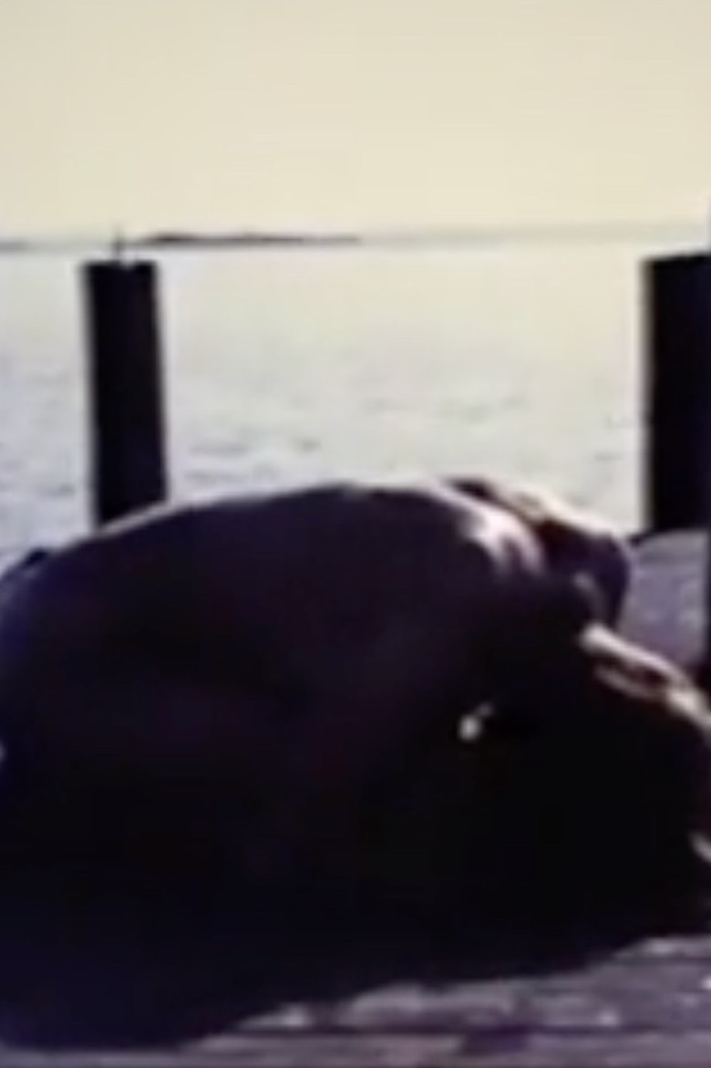 Homage To Edvard Munch And All My Dead Children poster background