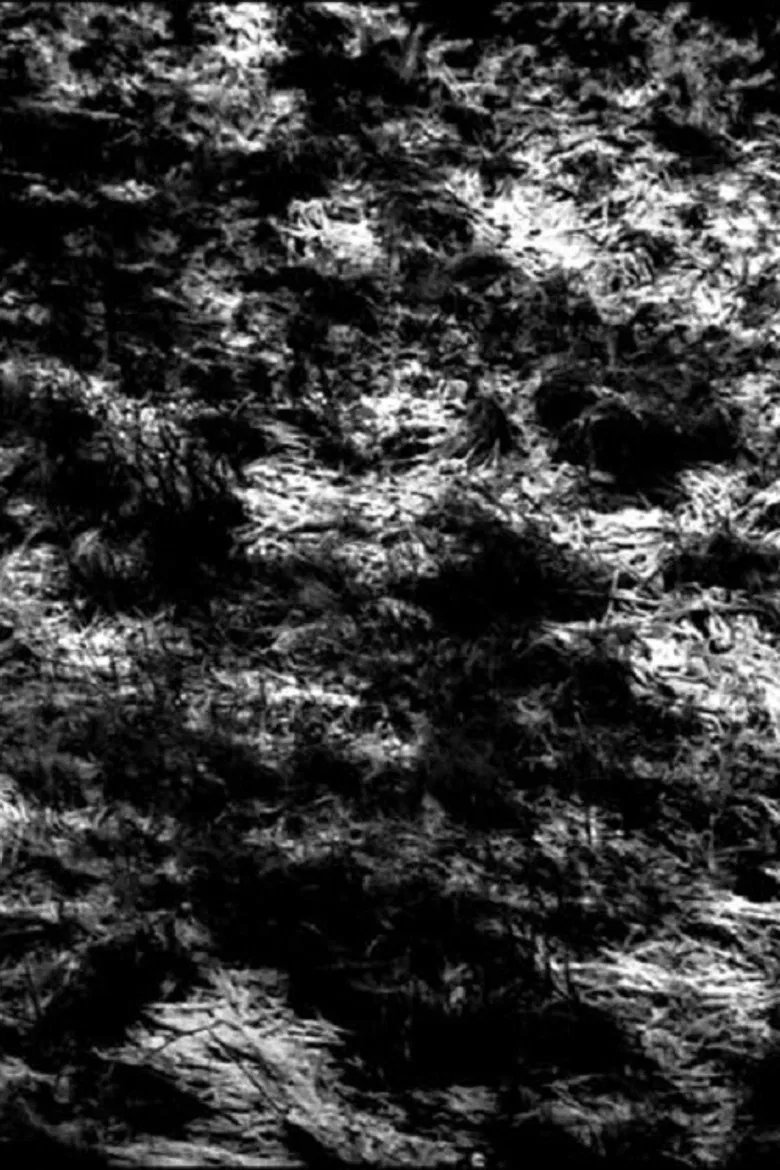 Covideodrone poster background