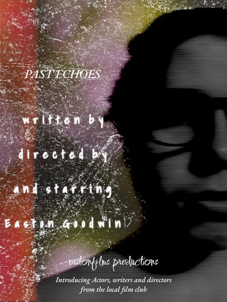 PAST ECHOES poster background