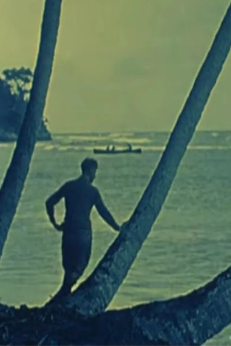 Tropical Nights poster background