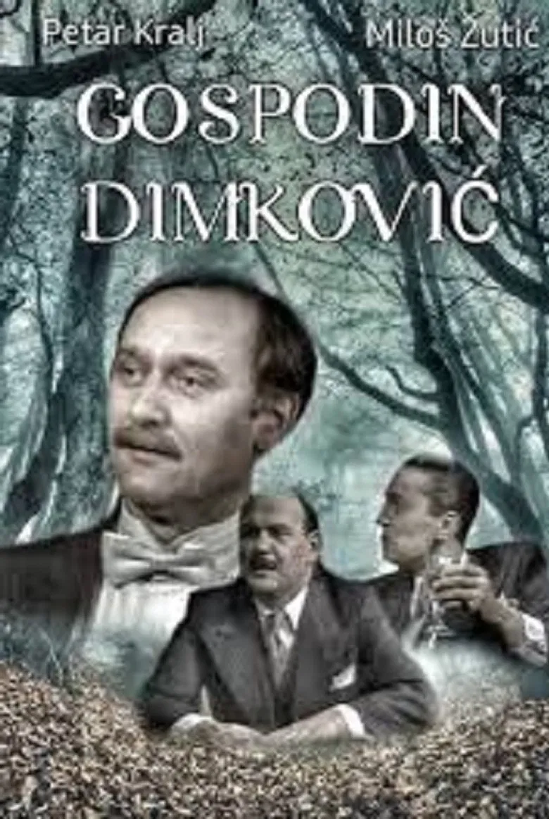 Mister Dimkovic poster background
