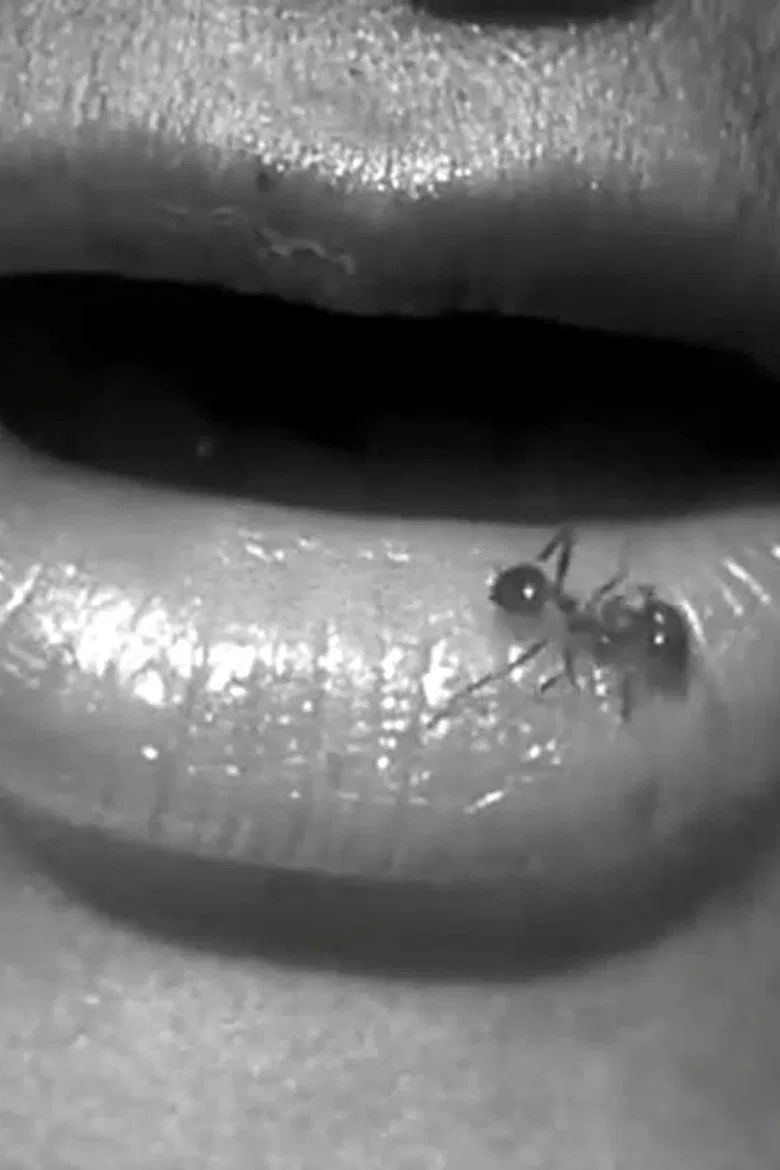 Echo poster background