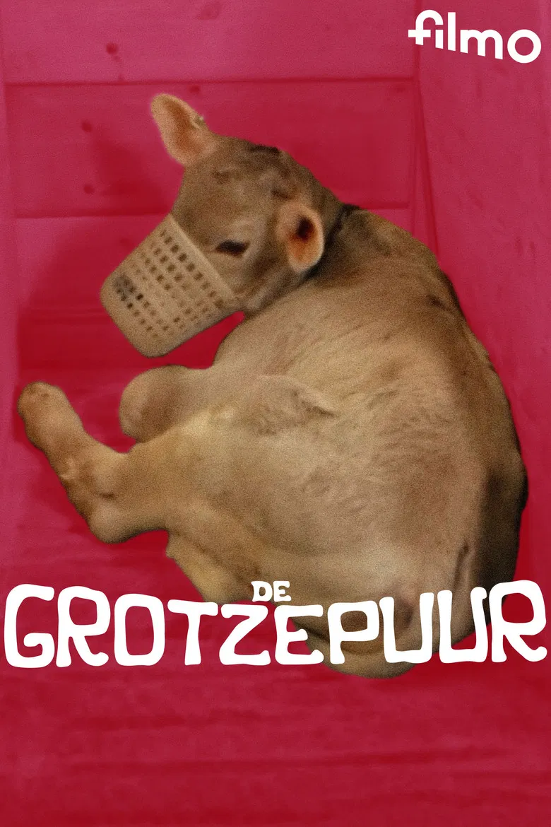 De grotzepuur poster background