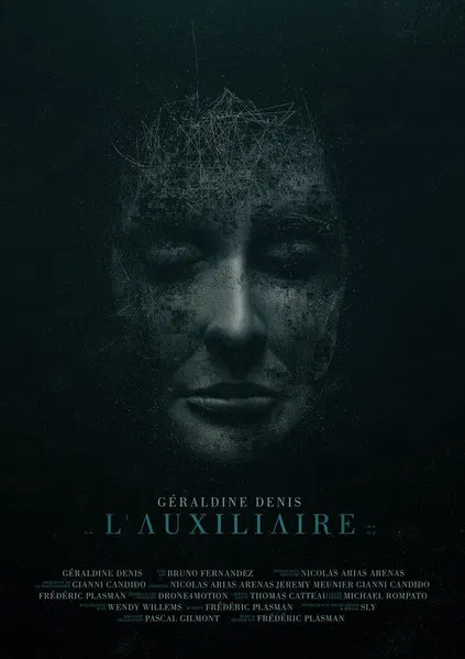 L'auxiliaire poster background