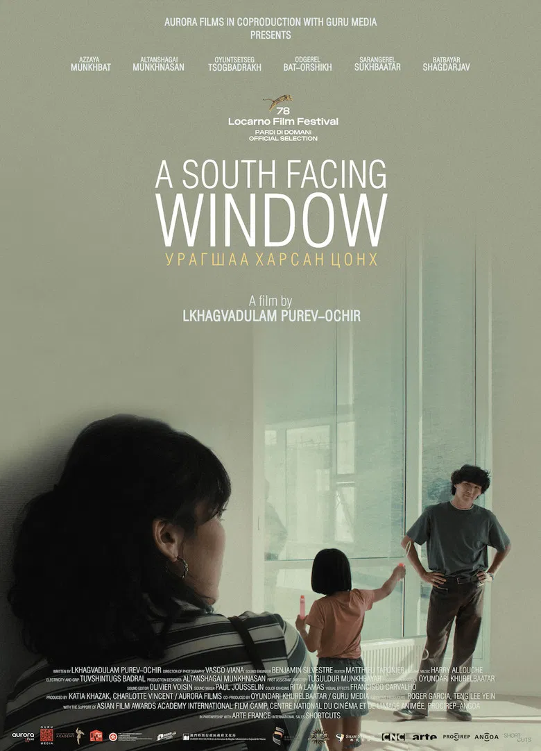 A South Facing Window poster background