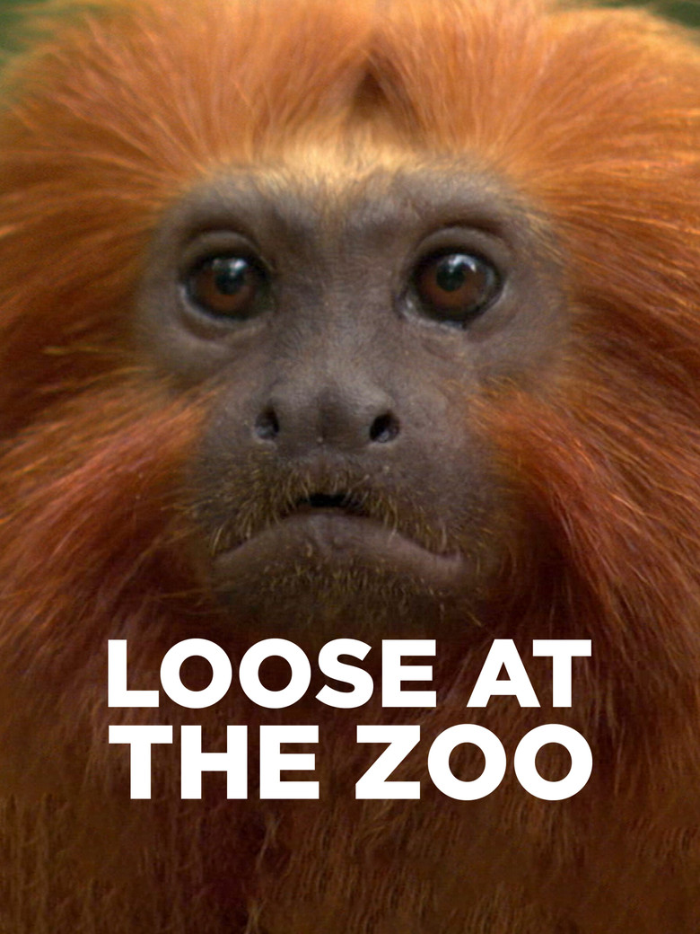 Loose at the Zoo poster background