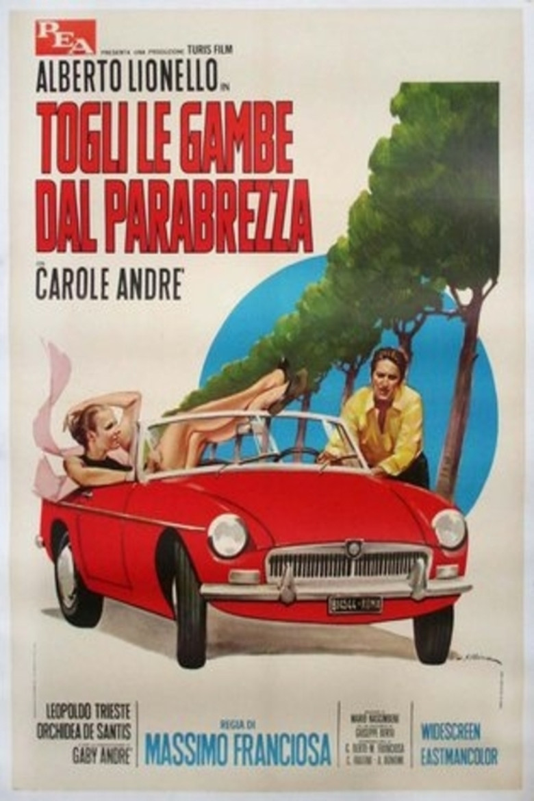 Togli le gambe dal parabrezza poster background