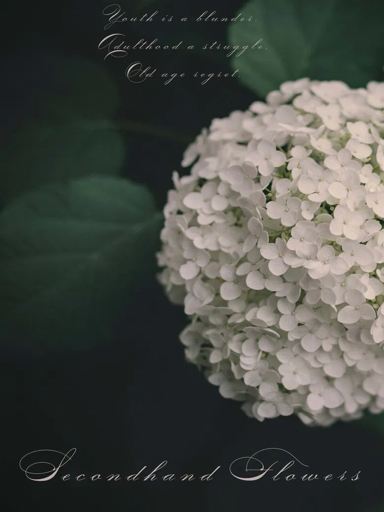 Secondhand Flowers poster background