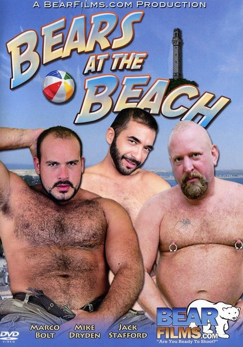 Bears at the Beach poster background