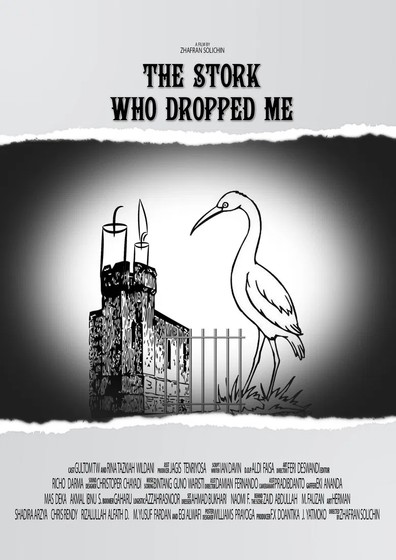 The Stork Who Dropped Me poster background