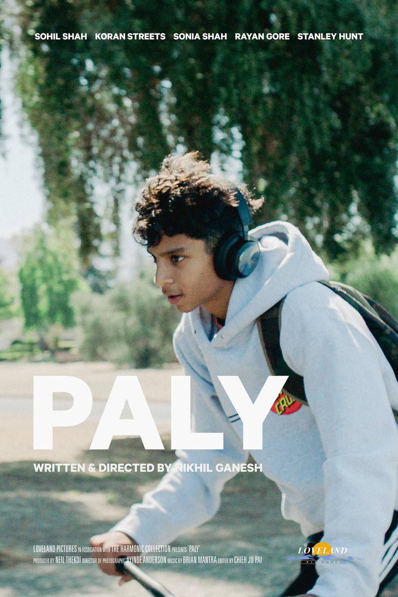 PALY poster background