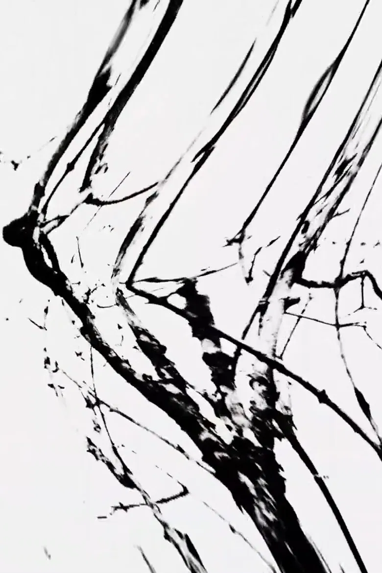 Everything Comes From A Tree poster background