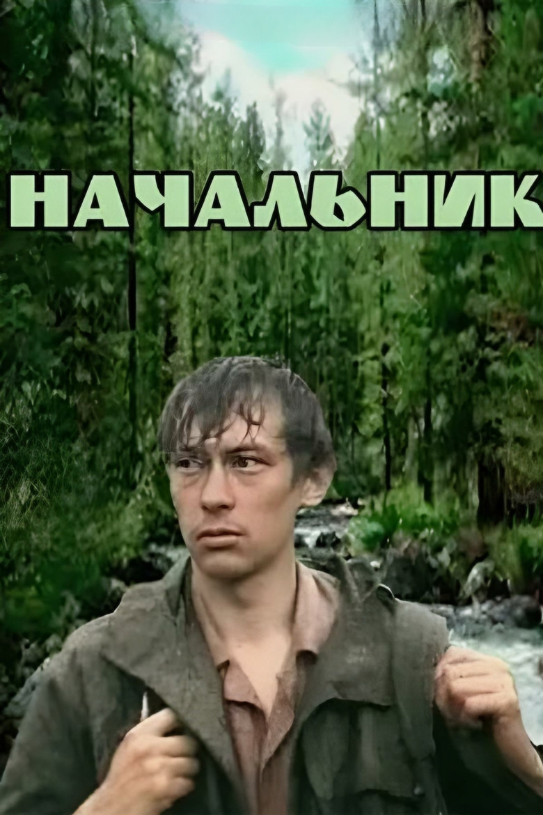 Leader poster background