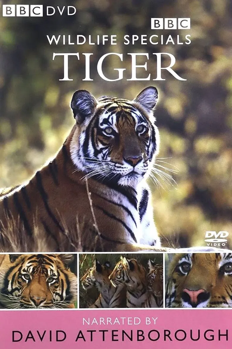 Tiger: The Elusive Princess poster background