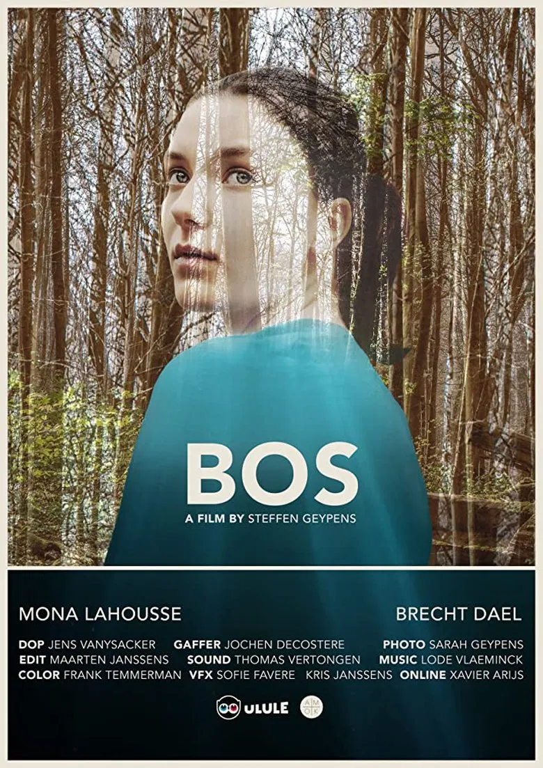 Bos poster background
