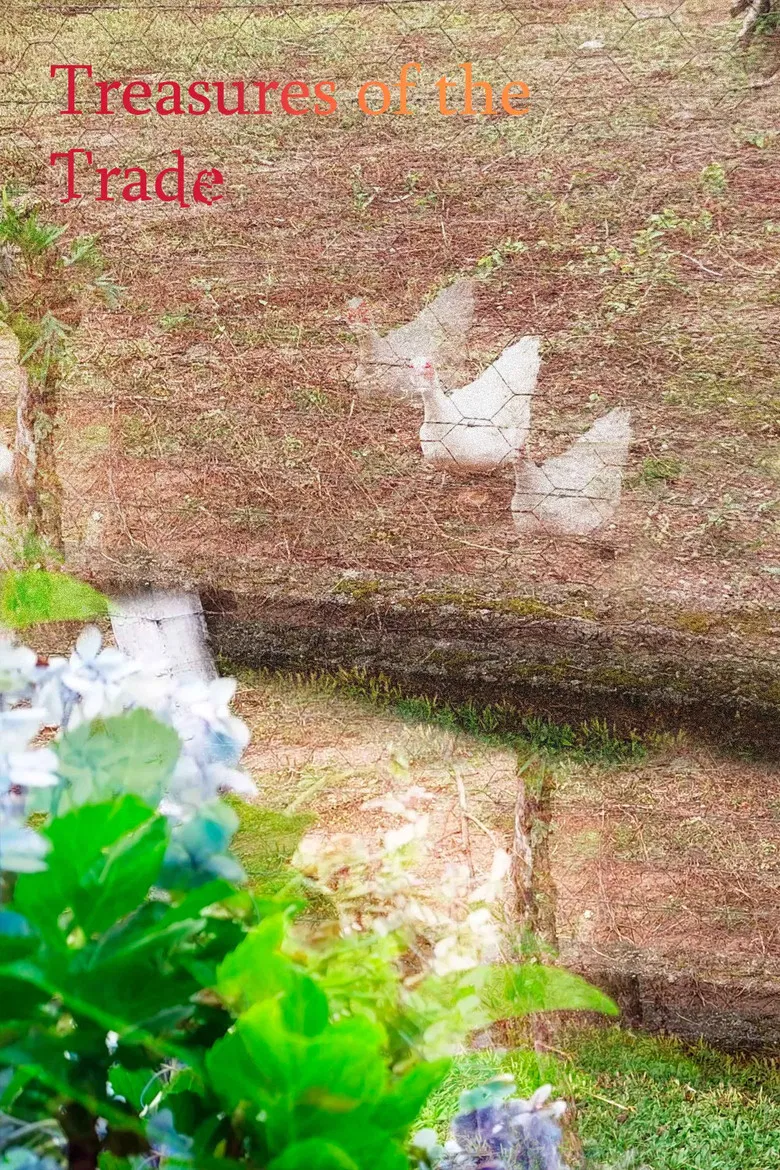 Treasures of the Trade poster background