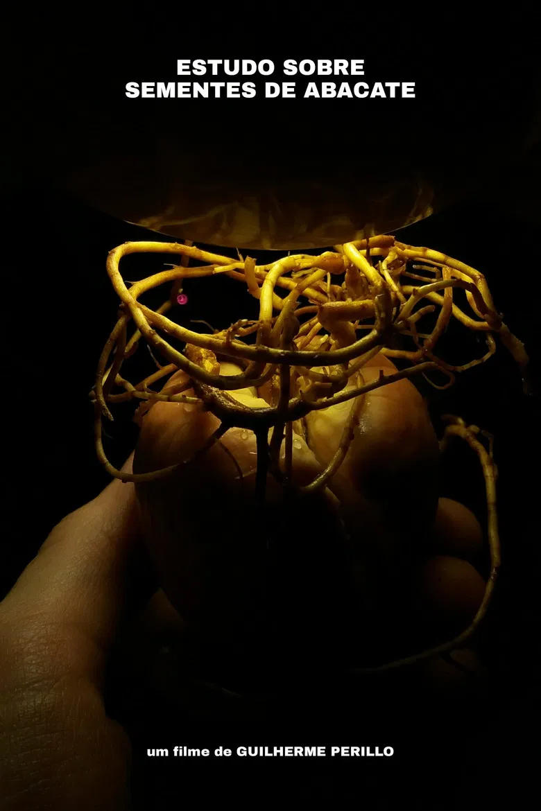 ESTUDO SOBRE SEMENTES DE ABACATE poster background