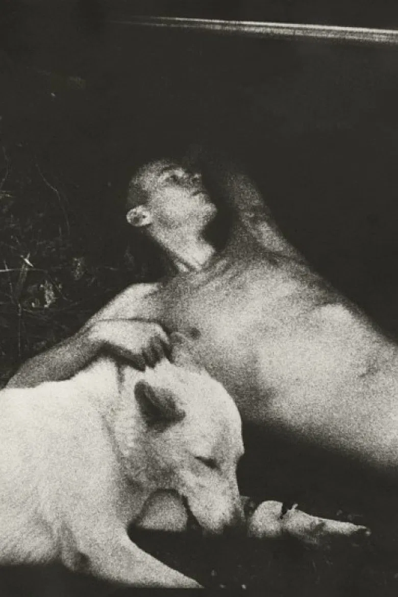 Automan poster background