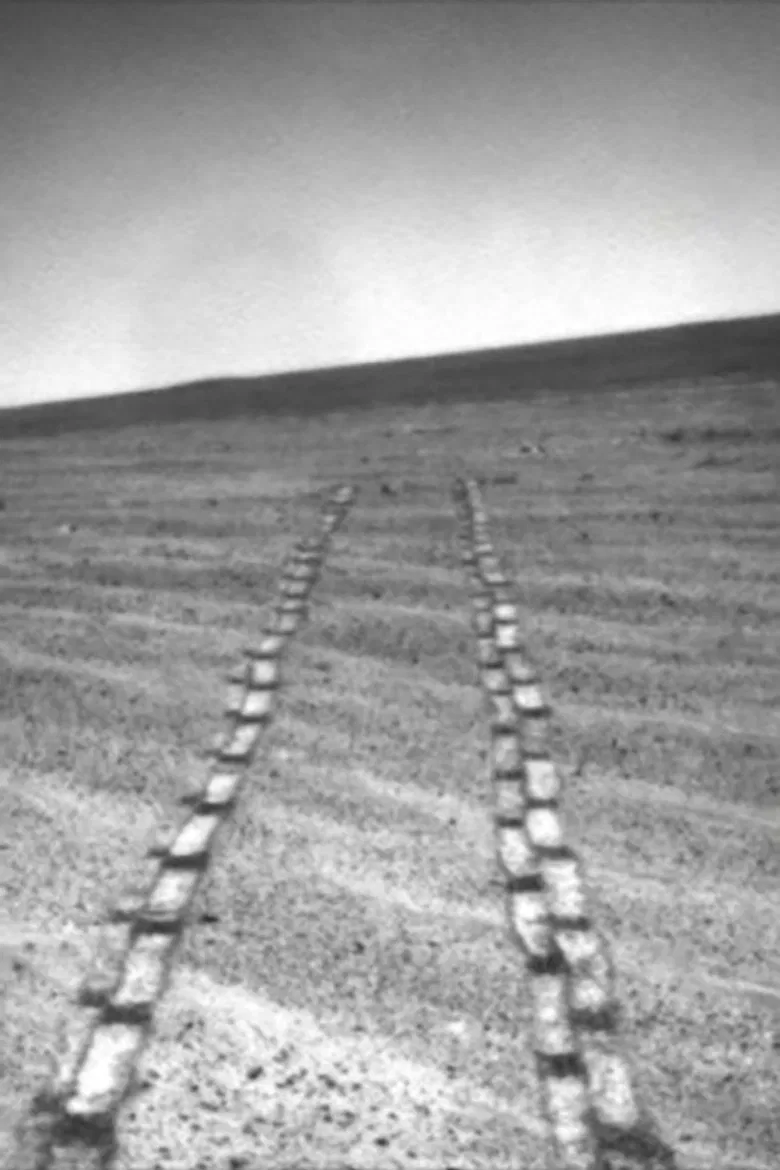 Meridian Plain poster background