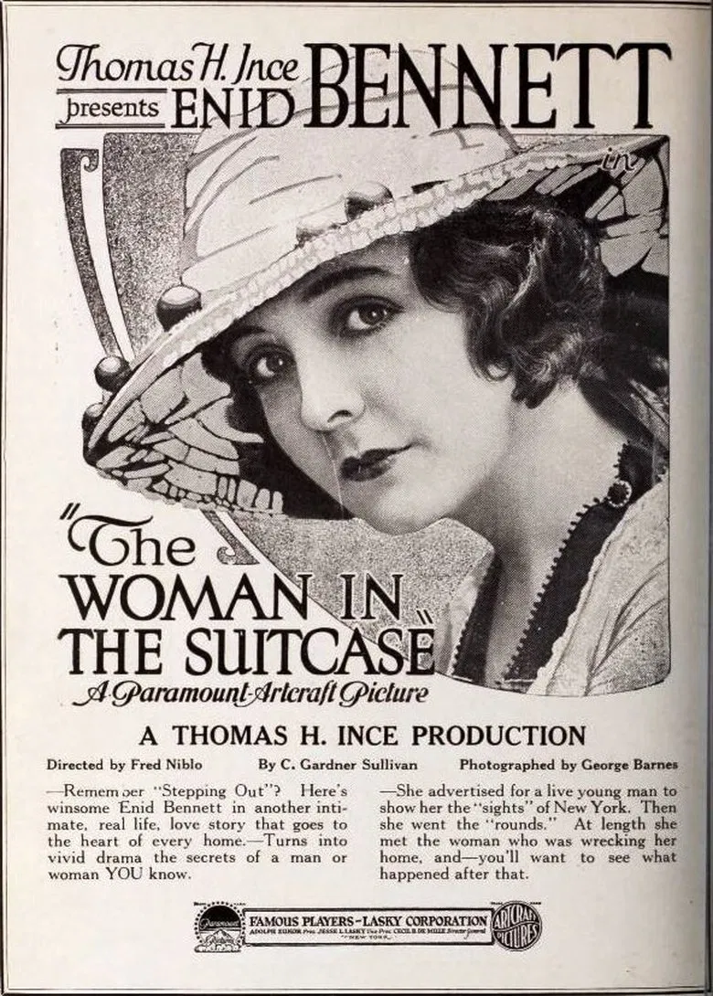The Woman in the Suitcase poster background