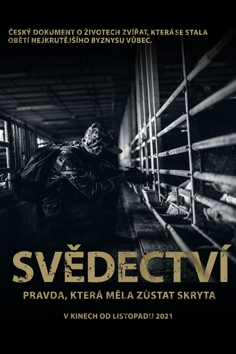 Svědectví: Pravda, která měla zůstat skryta poster background