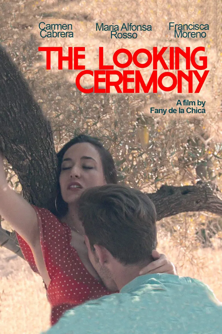 The Looking Ceremony poster background