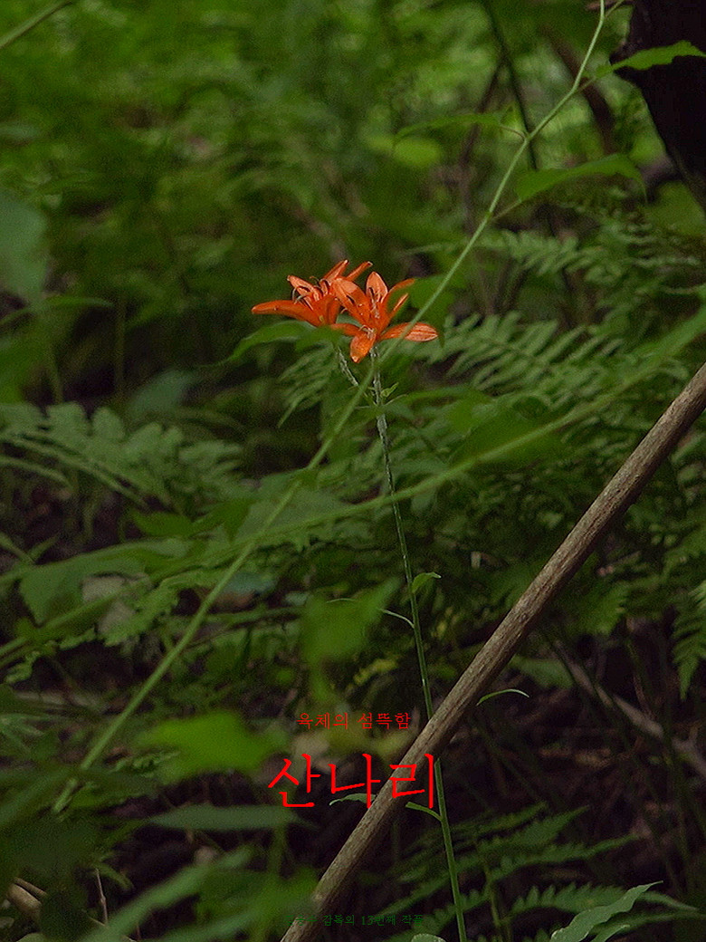 Sannari poster background