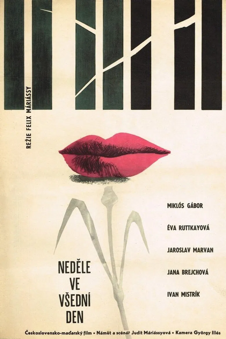 Every Day - Sunday poster background