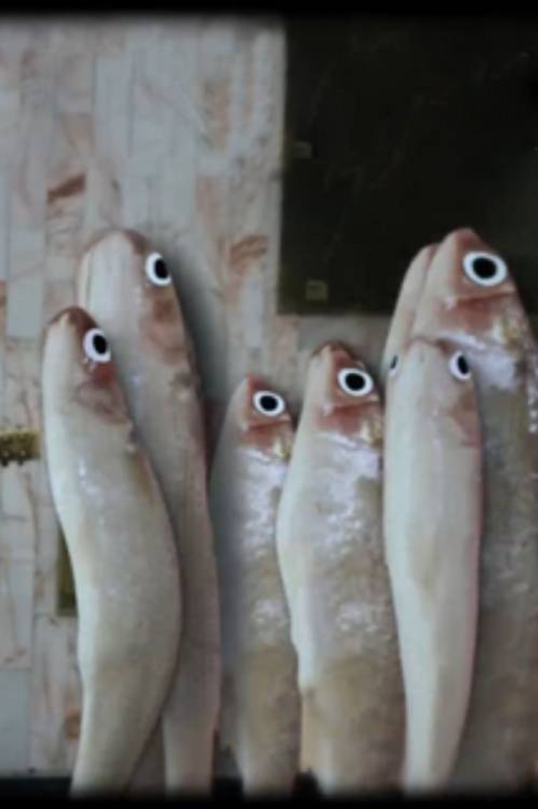 Antes de entrar permita salir poster background