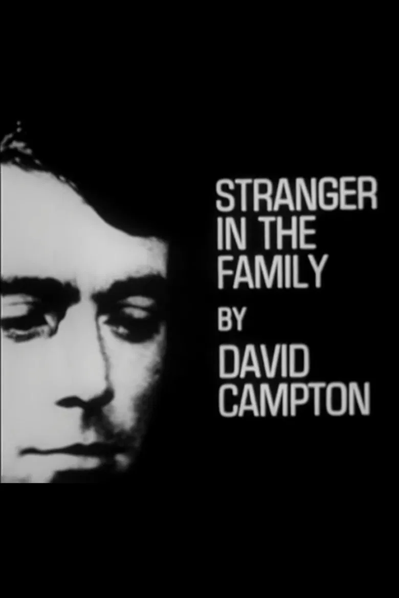 Stranger in the Family poster background